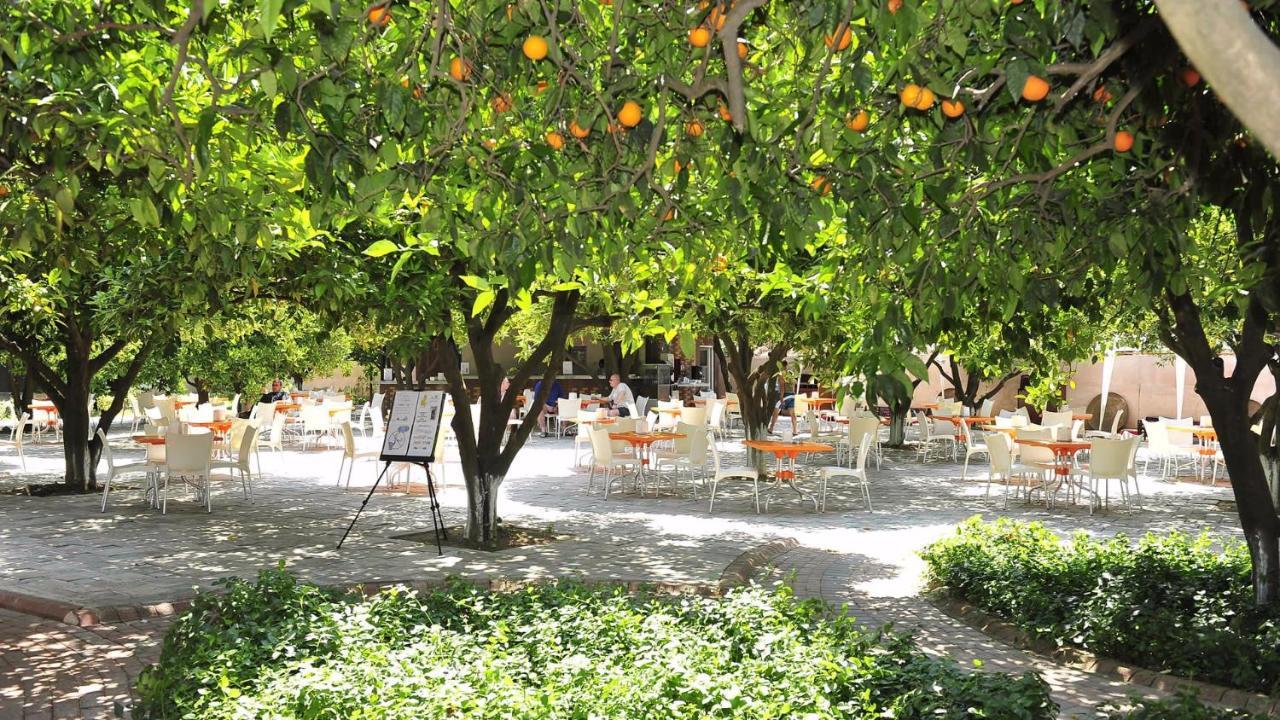 Noxinn Club Hotel Konaklı 外观 照片